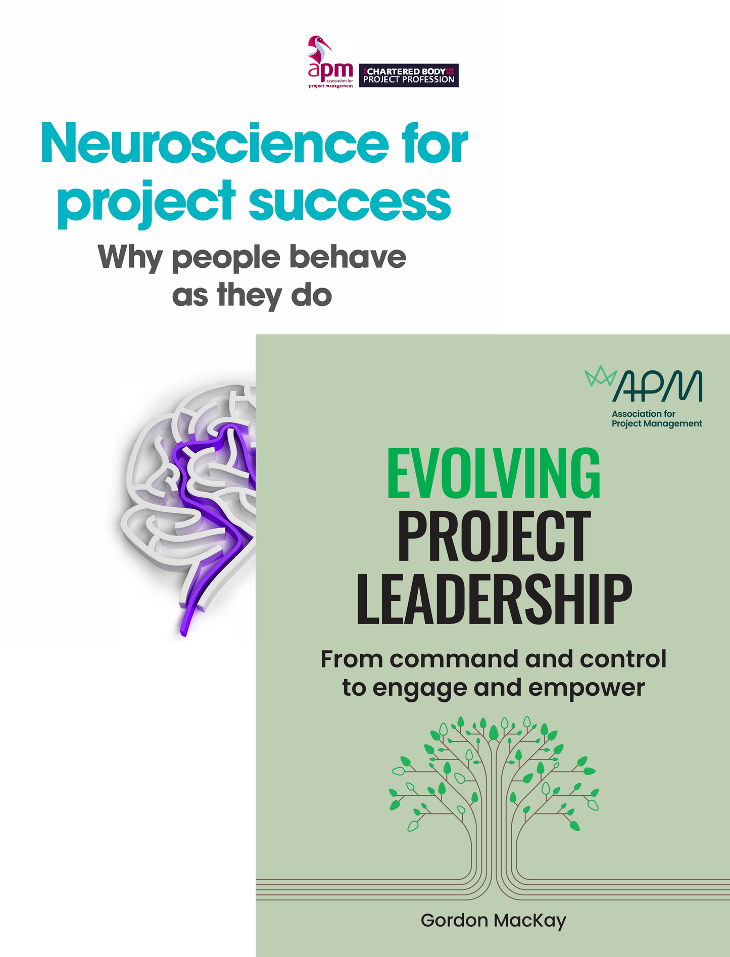 Evolving project leadership Neuroscience pack